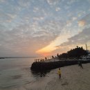 춘기행정사사무소 이미지