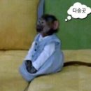 상봉커피