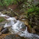 주어사지 이미지