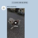 해뜨는댕 네이버블로그