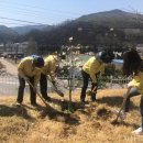 희망나무심기2 이미지