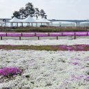 덕일 농장 이미지