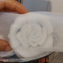 동그리솝 이미지