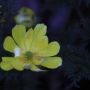 황전(순천) 이미지