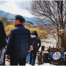 대음여성경로당 이미지