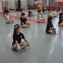 메타 태권도장 이미지