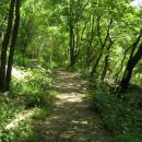 국립가리왕산자연휴양림 이미지