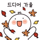 모토카워시(옥길점) 이미지