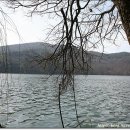 옥포식당 이미지