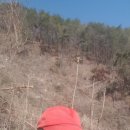 안말농장 이미지