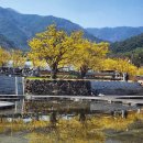 계척시목지 이미지