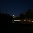솔트베이(Salt Bay) 골프클럽 | [시흥] 솔트베이 골프클럽 야간 라운딩 후기⛳️🏌🏻‍♀️