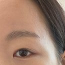 오션치과의원 | 2026년 1월, 오랜만에 일기장을 열다.