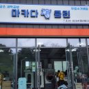 클린세탁 이미지