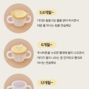 말랑키즈