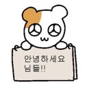 서울-두서-두서01 이미지