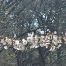 박민광 밝의뉘 이미지