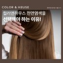 앤하우스 이미지