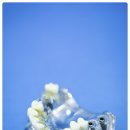 가까운치과기공소 이미지