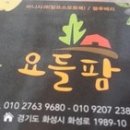 요들팜 이미지