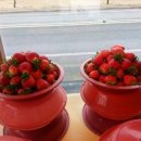 주희네 농장 이미지