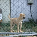 진이농장 이미지