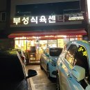 부성식육식당 | 울산 중구 반구동 맛집 부성식육센타 내돈내산 후기