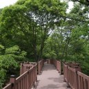 금산산림문화타운 이미지