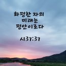 12월 24일(일) 성탄절 트리💕 이미지