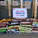 탄현동 수도권일보
