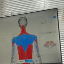 포라이프대구달구벌센타 | 대구재활운동센터 슬링운동으로 체형교정운동 YS 재활운동센터 범어점 2회차 후기