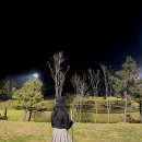 더나인골프클럽 | 김제 더나인CC 야간 라운딩 내돈내산 솔직후기