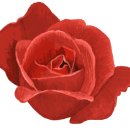 하슬라동물병원 이미지