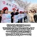 정동점 현대자동차 | [대전여행] :: 뚜벅이1일차 - 김화칼국수, 정동문화사, 대청호벚꽃축제, 한밭카페, 복수한우날고기...