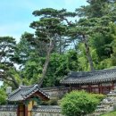광산구-047 네이버블로그