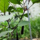 접실 경로당 이미지