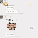 스테이 회천 | 무아가 지경이 일상 😇🐬💫