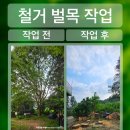 과수원놀이터조경 | 단독주택 대형위험수목 철거벌목 해체정리공사