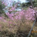 아름 발전소 이미지