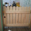 샬롬어린이집 이미지