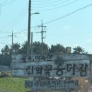 제주도 아이와 가볼만한 곳 광치기 해변 승마체험 쇠와꽃 승마장