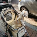 아콩하우스 이미지