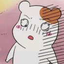 스시메이진 | [서울 구로/맛집] 구로디지털단지역 스시뷔페 스시메이진 구로 내돈내산 방문후기(금액, 주차 등)