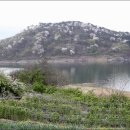 도안농장 이미지