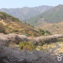 안경마을콘택트 이미지