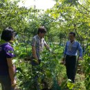 남악농장 이미지