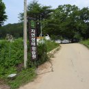 2019 구미 해바라기 축제 이미지