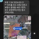 3월22일 금 0339호 이미지