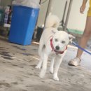 강촌체험낚시터 | [춘천/강촌 가족여행] 브루조아 풀빌라 카라반 후기