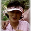 자인주 Daum카페